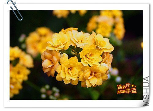 ��Ƭ 034_����.jpg