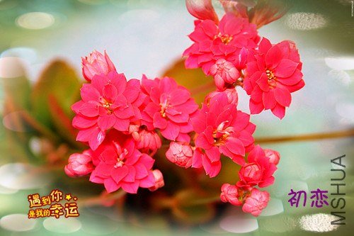 ��Ƭ 065_����.jpg