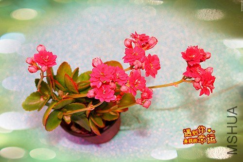 ��Ƭ 063_����.jpg