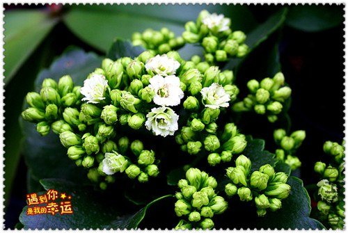 ��Ƭ 097_����.jpg