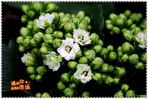 ��Ƭ 098_����.jpg