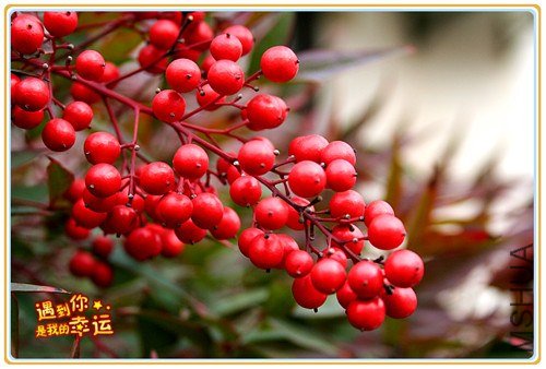 ��Ƭ 074_����.jpg