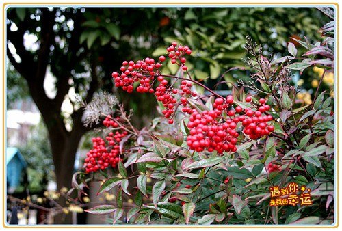 ��Ƭ 070_����.jpg