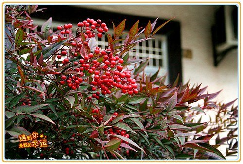 ��Ƭ 071_����.jpg