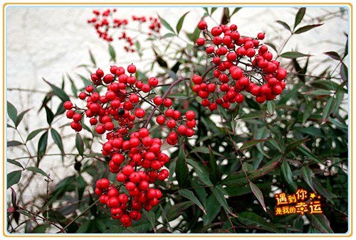 ��Ƭ 072_����.jpg