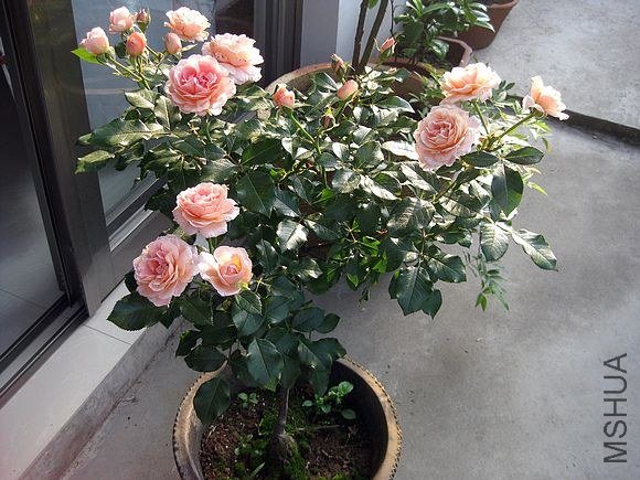 �¼��� 286.jpg