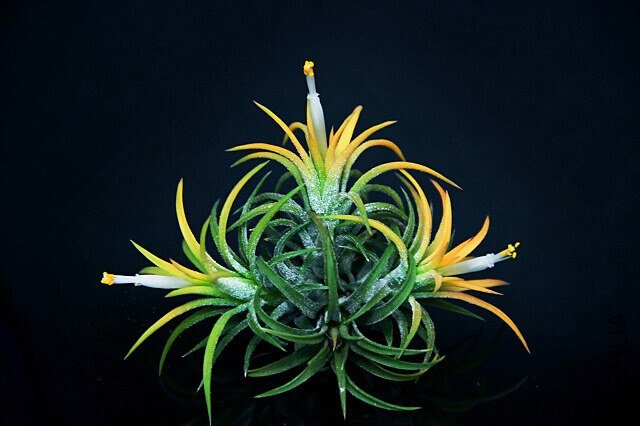 ��Ƭ 1415_0011.jpg