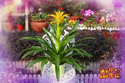 ��Ƭ 144_����.jpg