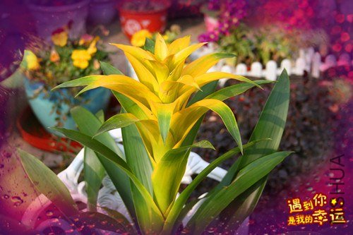 ��Ƭ 146_����.jpg