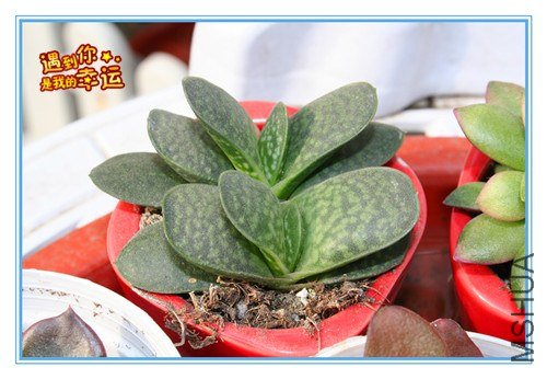 ��Ƭ 078_����.jpg