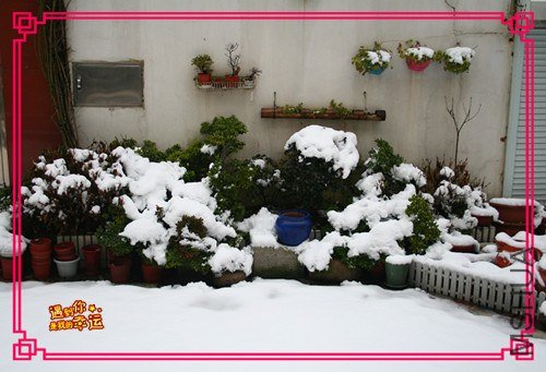 ��Ƭ 040_����.jpg