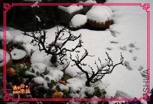 ��Ƭ 041_����.jpg