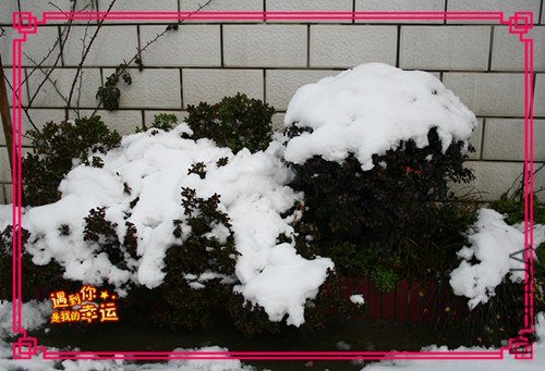 ��Ƭ 046_����.jpg