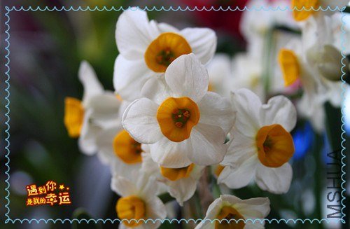 ��Ƭ 035_����.jpg