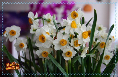 ��Ƭ 030_����.jpg