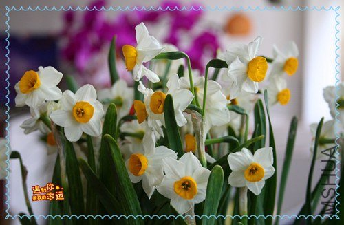 ��Ƭ 031_����.jpg