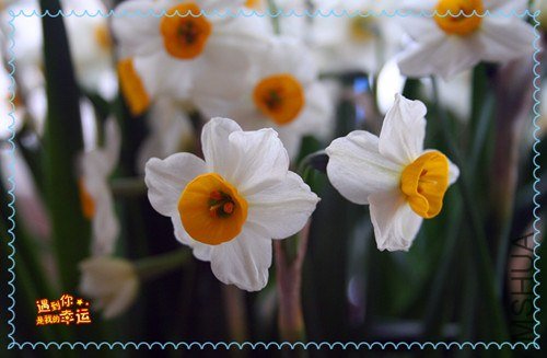 ��Ƭ 034_����.jpg