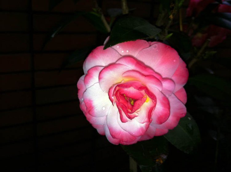 ��Ƭ 065.jpg