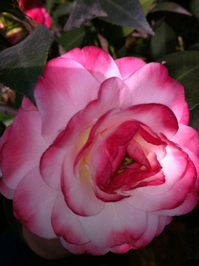 ��Ƭ 060.jpg