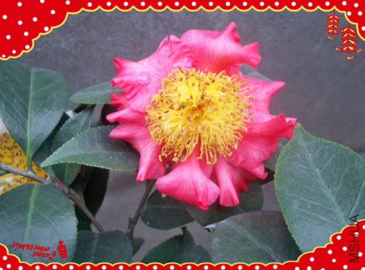100_4974_����.jpg
