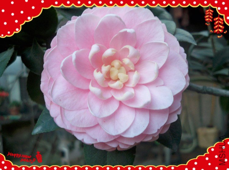 100_4985_����.jpg