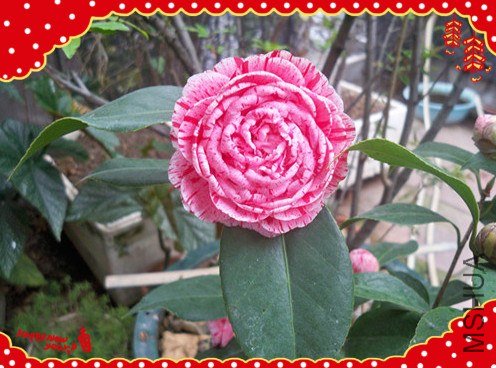 100_5016_����_����.jpg