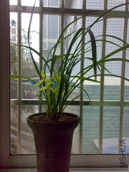 20100122502.jpg