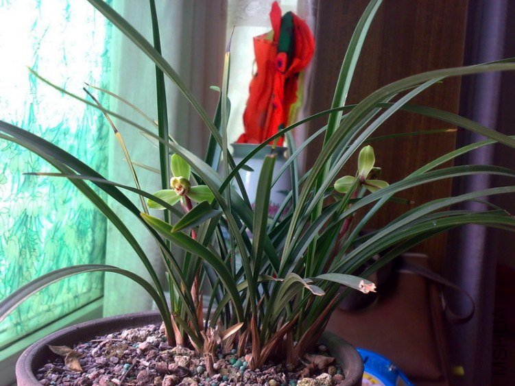 20130217284.jpg