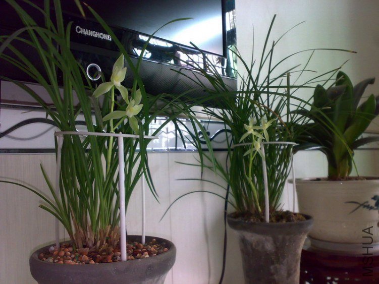20130217278.jpg