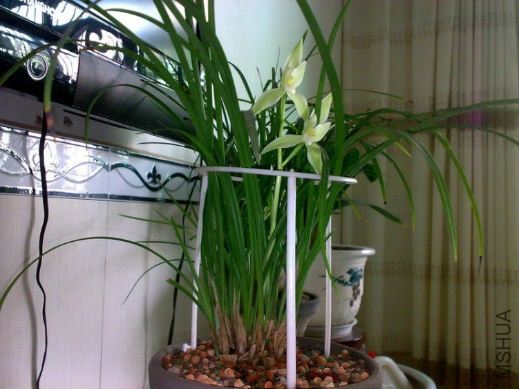 20130217277.jpg