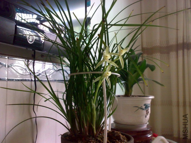20130217276.jpg