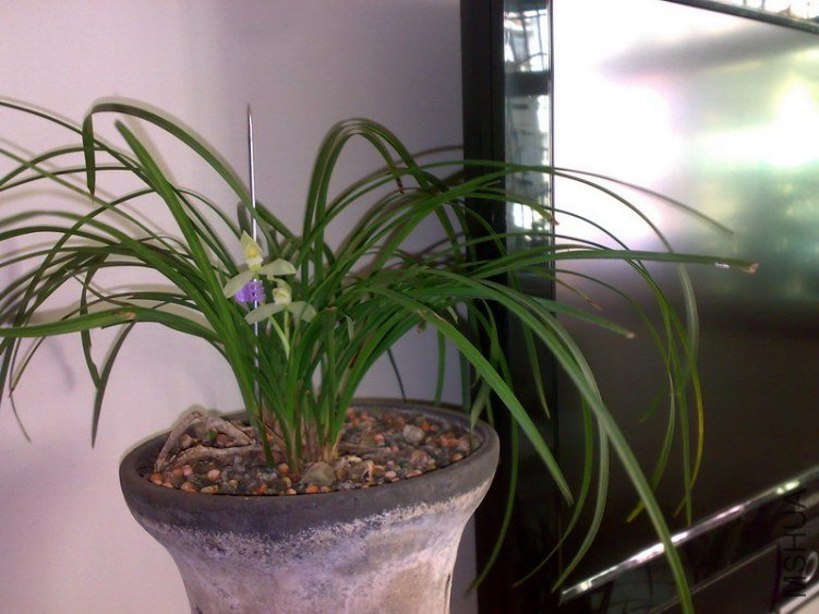 20130217273.jpg