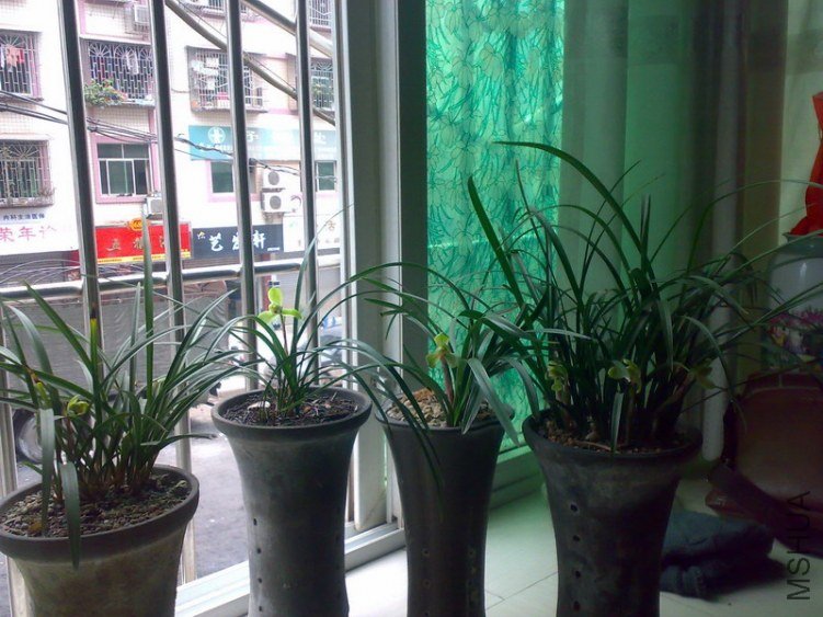 20130211264.jpg