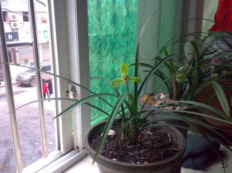 20130211262.jpg