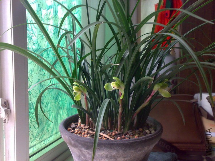 20130211257.jpg