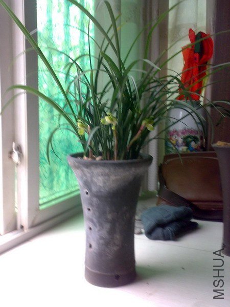 20130211259.jpg