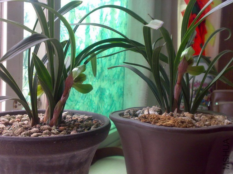 20130207242.jpg