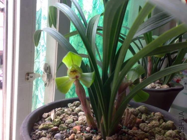 20130207239.jpg