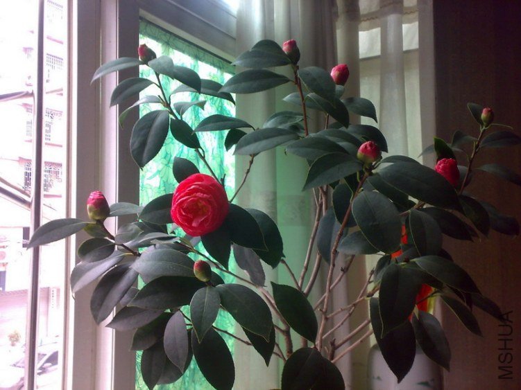 20130211252.jpg