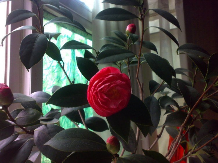 20130211253.jpg