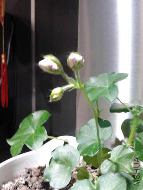 2013-02-09 09.08.47_����.jpg