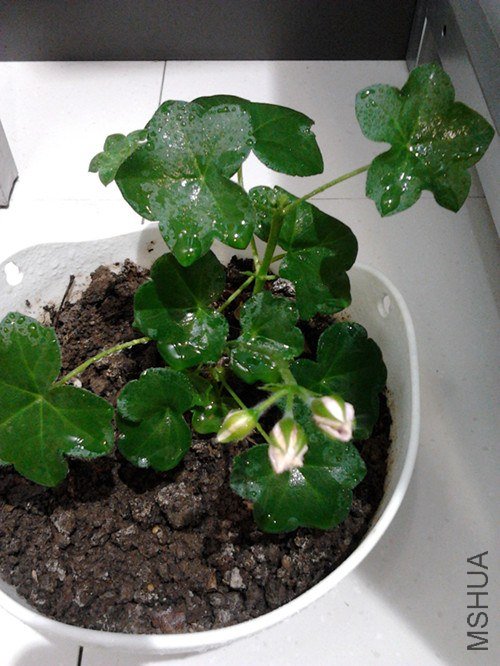 2013-02-09 14.23.02_����.jpg