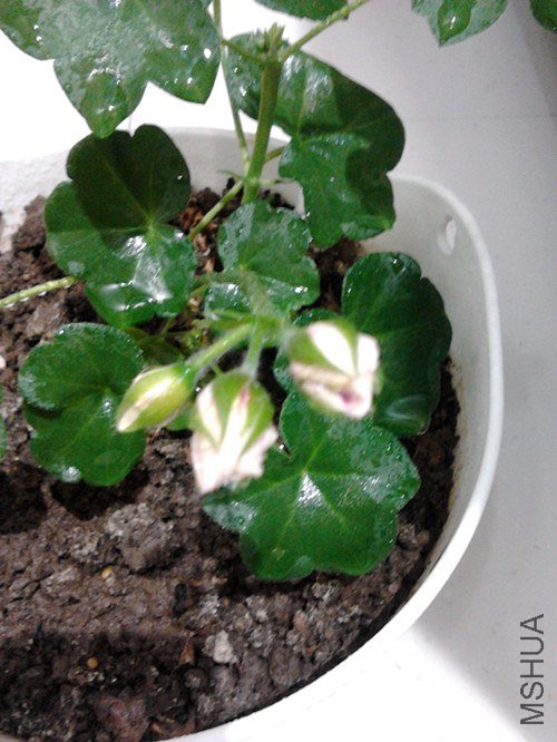 2013-02-09 14.23.14_����.jpg