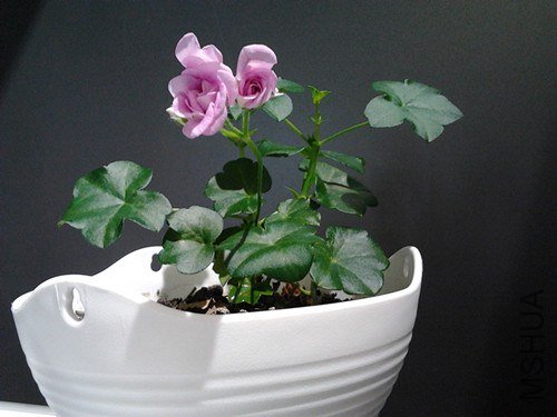 2013-02-13 10.17.43_����.jpg