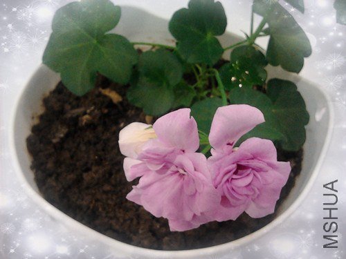 2013-02-15 11.46.34_����.jpg