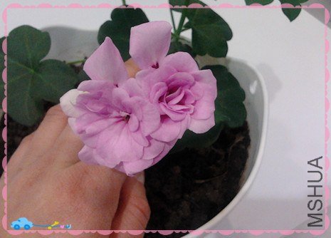 2013-02-15 11.47.02_����.jpg