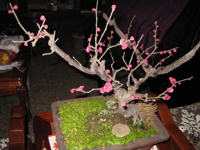IMG_7957.JPG