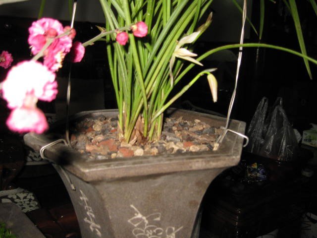 IMG_8012.JPG