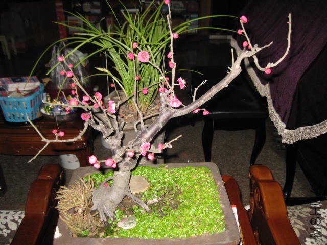 IMG_8013.JPG