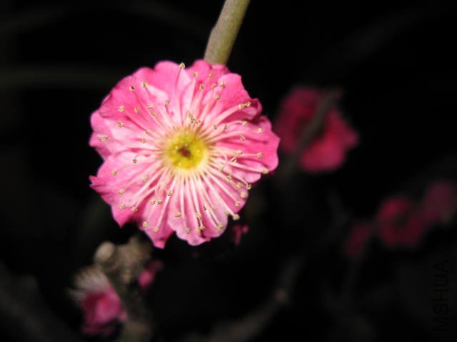 IMG_8187.JPG